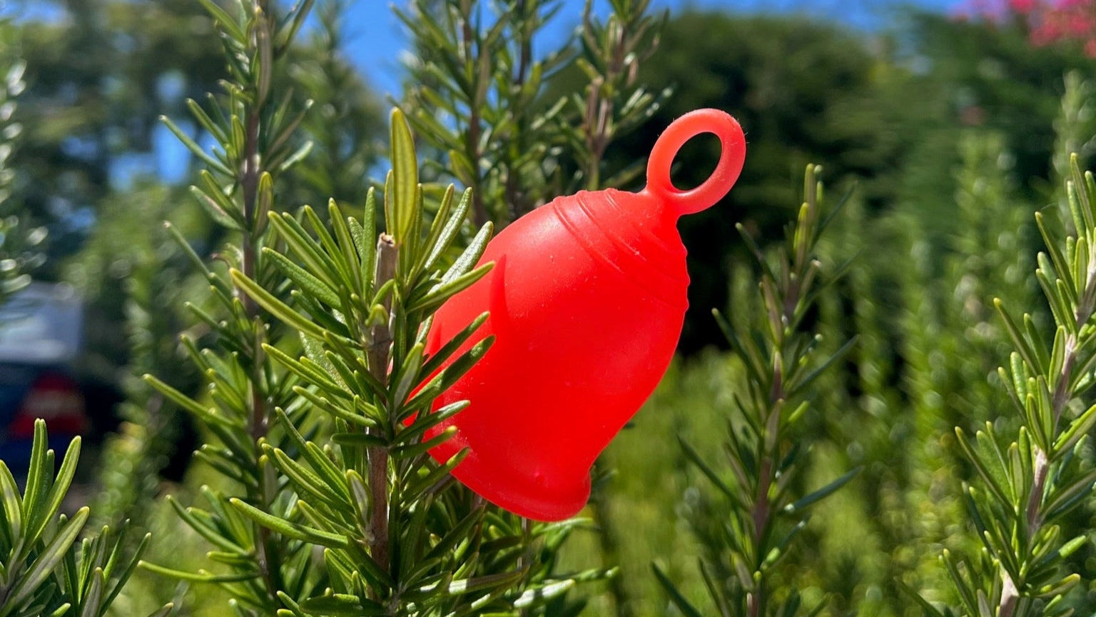 Cup slipping during period Menstrual cup insecurity Cup slipping out of place Menstrual cup displacement