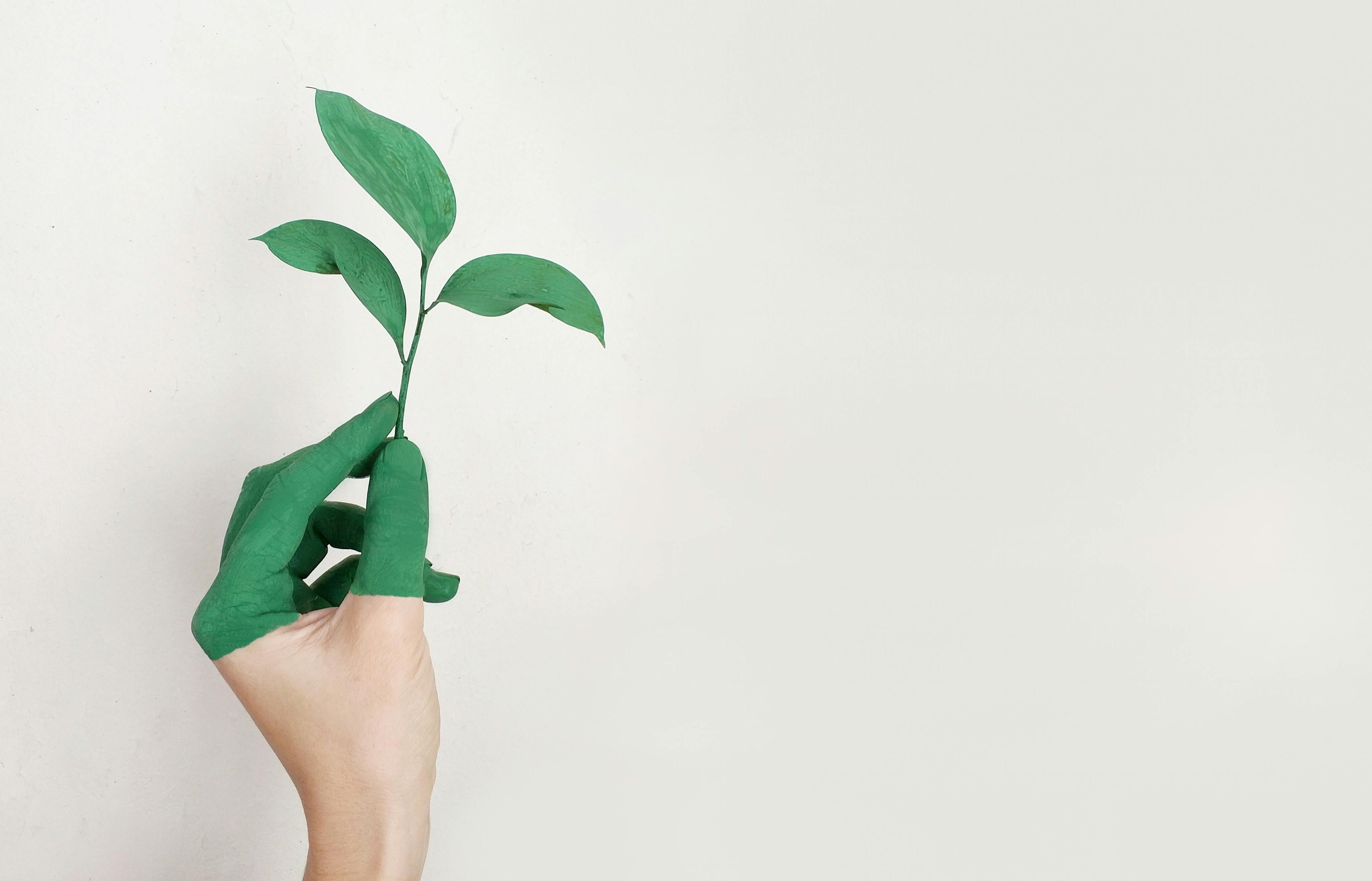 greenwashing plastic recycling claims