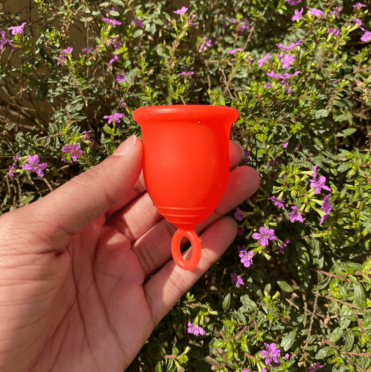 What is a menstrual cup? - Asan UK