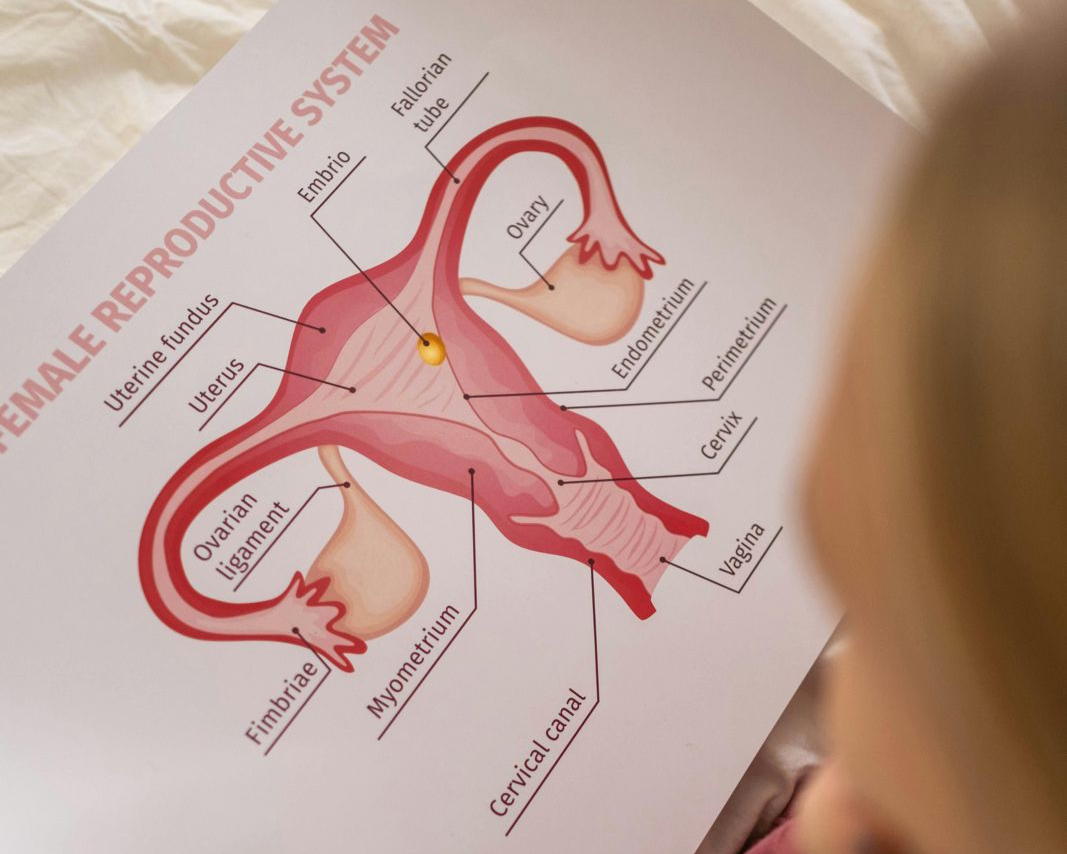 What can cause menorrhagia? – Asan UK